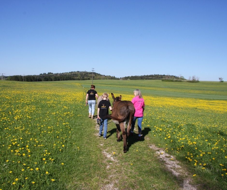 Bild einer Eselwanderung