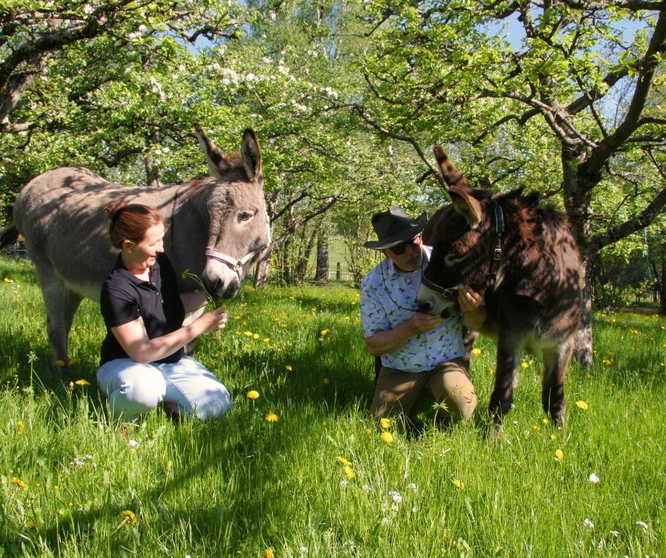 Peterle und Paulchen mit Melanie Hetz und ihrem Papa auf der Apfelbaumwiese